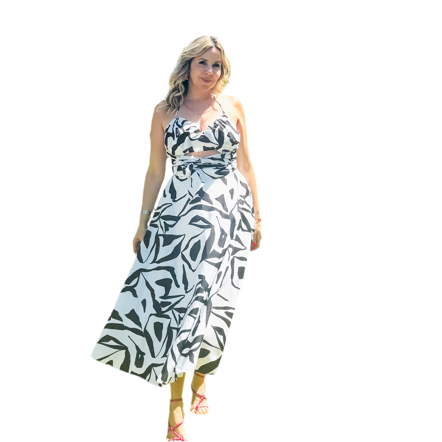Gio Print Dress