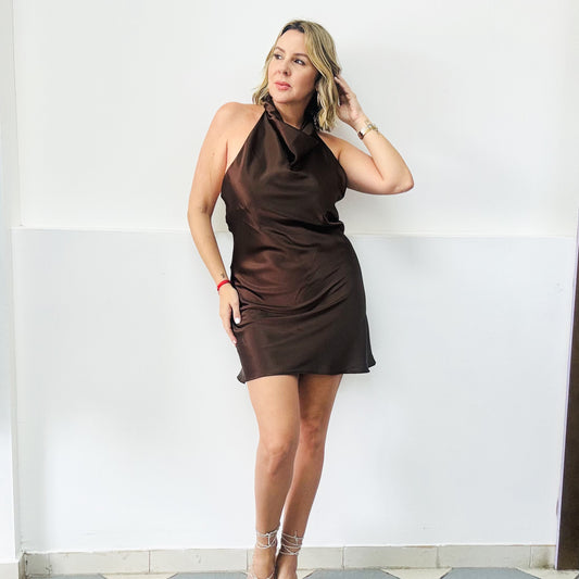Gold Detail Silk Brown Dress